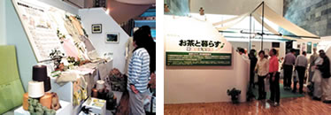 Consumer products utilizing the benefits of tea were displayed in catechin