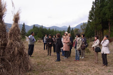 Tea Industry and Culture Exchange Tours