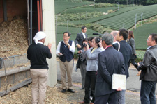 Tea Industry and Culture Exchange Tours