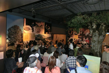 Tea Museum Guided Tour