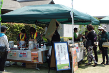 The Seasonal First Tea Festival and Tea Harvesting Program