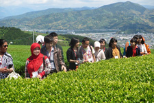 Tea Industry and Culture Exchange Tours